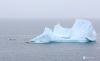 Iceberg_0151