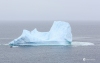 Iceberg_0196