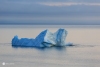 Iceberg_0775