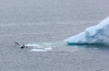 Newfoundland_0169_web