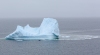 Newfoundland_0208_web