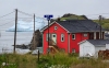 Newfoundland_0082