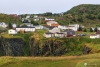 Newfoundland_0660