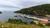 Newfoundland_1054