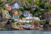Newfoundland_2997