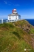 Newfoundland_3105