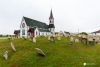 Newfoundland_3281