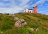 Newfoundland_3340