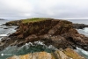 Newfoundland_3369