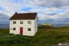 Newfoundland_3709