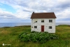 Newfoundland_3716