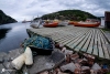 Newfoundland_3829