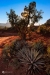 Sedona_0068