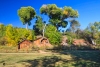 Sedona_0538