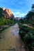 Zion 2015_0169