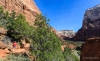 Zion 2015_0251