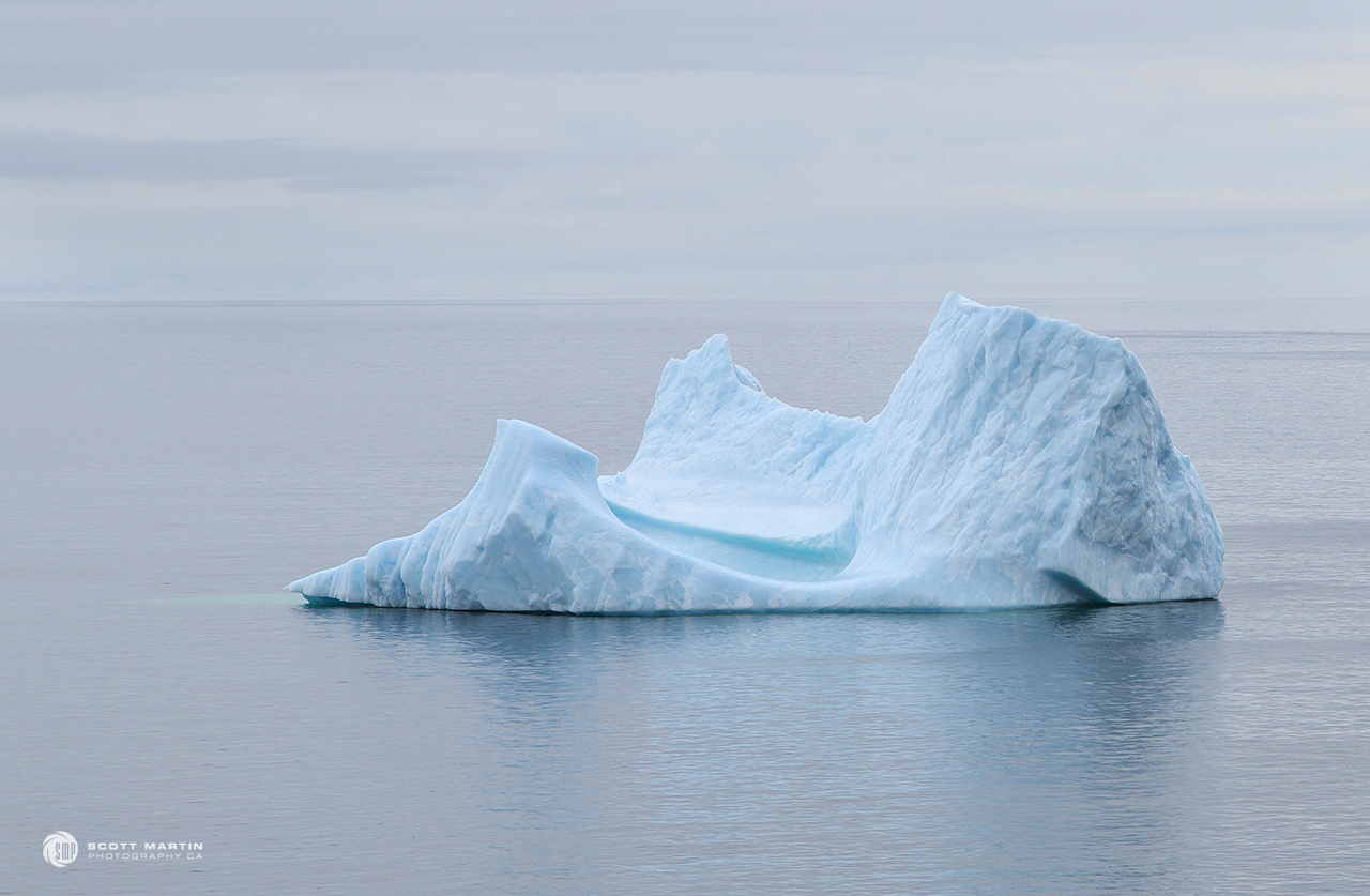 Icebergs of Newfoundland